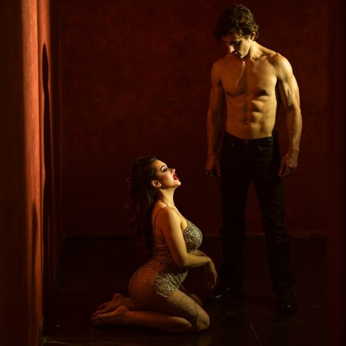 Mouthful of Obedience: A shy sissy learns what it means to serve cock