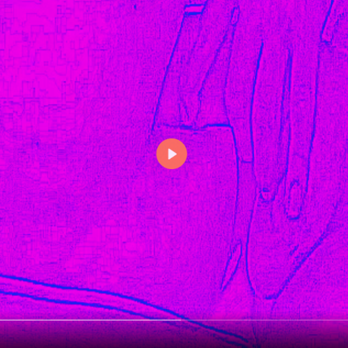 Sissy Bi to Gay Firewall Breaker Video version